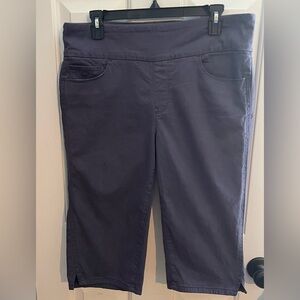 Gloria Vanderbilt Amanda Capri Pants